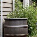 A rainwater barrel collecting water from a downspout next to a garden bed, highlighting water saving techniques.